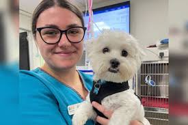 Caring Vet Near Sovereign Islands