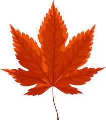 ai格式叶脉ai format vein image png images png