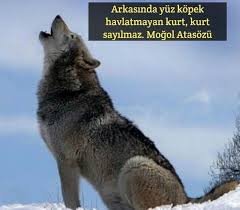 𝔖 𝓨𝓪𝓿𝓾𝔃 adli kullanicinin tokmakk panosundaki pin kurt hayvan kopek