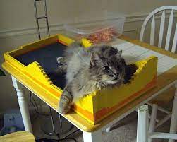 Pin On Lego Cats Cats N Lego
