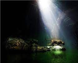 Desktop best wallpapers for pc. 48 Best Computer Wallpaper On Wallpapersafari