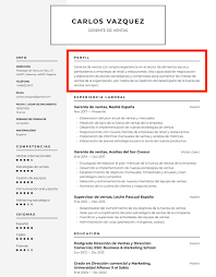 Perfil Profesional En El Curriculum Crear Un Curriculum Vitae