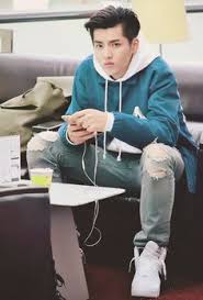 Maybe you would like to learn more about one of these? Kris Wu Net Worth