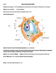 We did not find results for: Plant And Animal Cells Worksheet Animal Cells Worksheet Animal Cell Plant Cells Worksheet