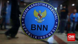 We did not find results for: Jokowi Revisi Perpres Gaji Kepala Bnn Setingkat Menteri