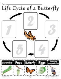 Life Cycle Of A Butterfly Printable Worksheet Butterfly Life Cycle Kindergarten Butterfly Life Cycle Preschool Life Cycles