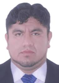 Ingresos de Otorongos Elecciones 2022