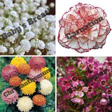 Get free quotes in minutes from reviewed, rated choose your budget. Cheap Florist Cheaper Than Retail Price Buy Clothing Accessories And Lifestyle Products For Women Men