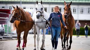 Sep 25, 2019 · the nutrient content of horse manure can also be represented as 12 lb/ton of n, 5 lb/ton of p 2 o 5, and 9 lb/ton of k 2 o (nutrient values for any manure vary widely, so these are only guidelines). Horse Manure Can Contribute To Reducing Reliance On Fossil Fuels