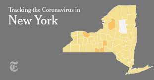 Chenango County New York Covid Case Tracker The New York Times
