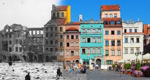 Image result for Oldenlandia verrucitesta