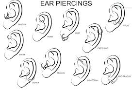 ear piercing size chart bedowntowndaytona com