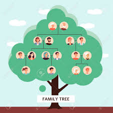 See more ideas about family tree art, genealogy crafts, family tree. Family Tree With Cartoon Drawings Of Old Father And Mother Starting Royalty Free Cliparts Vectors And Stock Illustration Image 152723894