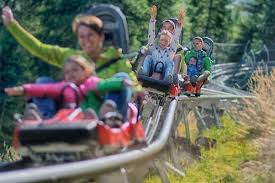 Plus, if you are looking for a special event close to the colorado front range, the mustang mountain coaster is the perfect choice to make any event memorable and exciting! South Tyrol S Alpine Coasters Ride The Rails