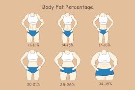 For example, if you are a 5'10 male estimating your ideal weight with the devine formula, you would add (2.3 × 10) kg to 50 kg to get 73 kg, or ~161 lbs. How Much Should I Weigh Ideal Body Weight Calculator For Women Men