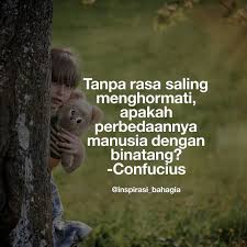 Online shopping from a great selection at movies & tv store. Tanpa Rasa Saling Menghormati Apakah Perbedaannya Manusia Dengan Binatang Confucius