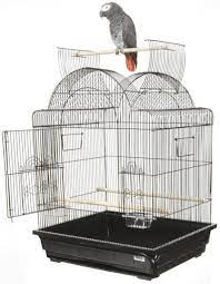 List of top best bird cages in 2021. 30 Iron Victorian Top Table Top Bird Cage With Perch Small Bird Cage Conure Cage Small Birds
