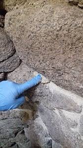 Check spelling or type a new query. Jointoyer Wiktionnaire