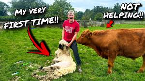 Tom Pemberton Farm Life added a...