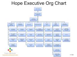 Being a medical director ensures all clinical programs are in compliance with all applicable regulations. Hope Executive Org Chart Ppt Download