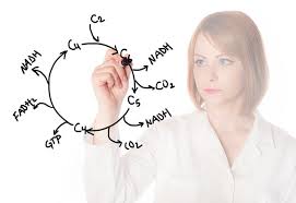 Ananta Manjula Hasini Sriram