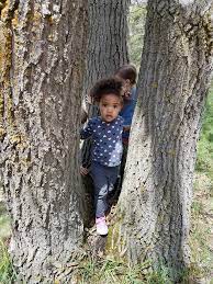Summer activities, ways to create family memories & fun things to do in summer! Creative Summer Activities Kids Will Love In Alpena Visit Alpena