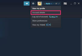 How to check steam gift card balance without redeeming? What Is Steam Wallet How To Add Funds To Purchase Games