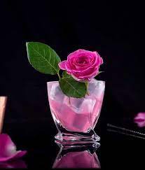 Cocktail Society On Instagram Bloom 4cl Rose Liqueur Laniquedrinks 3cl Lemon Juice 2cl Falernum Syrup From Guerillamixo Liqueur Lemon Juice Lemon