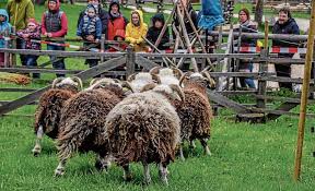 Deizisau Ehrenamtliche Helfer Stellen Im Pflegeheim Palmscher Garten In Kurzer Zeit Ein Breites Angebot Auf Die Beine Die Bringen Heimat Hier Rein Kreis Esslinger Zeitung