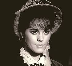 Wagon Train" The Levy-McGowan Story (TV Episode 1962)