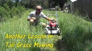 How tall should grass be to cut for hay? Pt 2 How To Cut Tall Grass With A Basic Lawn Mower Tall Grass Mowing Youtube