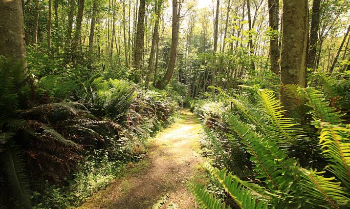 Plan Your Visit – Earth Sanctuary