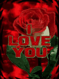 https encrypted tbn0 gstatic com images q tbn 3aand9gcs8xfh1qobl0gyh36z4gnd1ew8r7sr7yorsaa usqp cau 2
