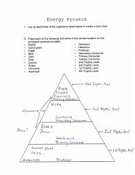 Population And Communities Worksheet Worksheet List