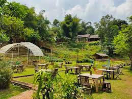 Kampung konservasi rimbun adalah sebuah wahana baru ekowisata yang berdiri di jalan masjid ciater, buaran, kecamatan serpong, kota tangerang selatan. Berwisata Sambil Kulineran Di Kampung Konservasi Rimbun Serpong Tangsel