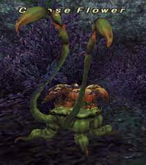 Ffxiv Corpse Flower Best Flower Wallpaper