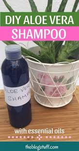 Apply it on the entire length of your hair and on your scalp after a hair wash. Homemade Aloe Vera Shampoo Recipe For Hair Loss Step By Step