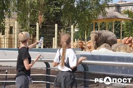 Jun 25, 2021 · планируется, что по прибытию в харьковский зоопарк он проведет месяц в карантине. Yq8uoscum Ohem