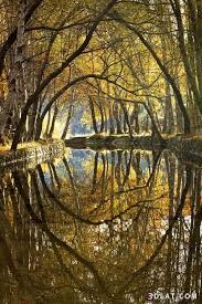 صور طبيعية 2019 صور خريف صور اوراق متساقطة صور طبيعية لفصل الخريف صور جميلة Water Reflection Photography Reflection Pictures Reflection Photography