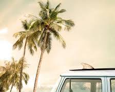 Image of surfboard and a car on a beach
