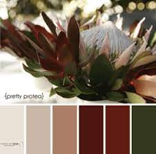 Pin On Colour