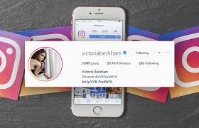 400 Instagram Bio Ideas To Copy And Paste Avasam Traveller book lover obsessed with tacos. instagram bio ideas to copy and paste