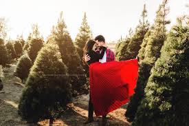 Mehr als 1,5 million ebooks, mit mehr als 140.000 deutschen titeln. The Chamberlains Wonderland Christmas Tree Farm Pea Ridge Arkansas Four Fourteen Photography