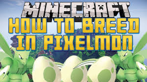 How To Start Breeding Pixelmon Guide