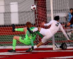 PHOTOS: Ohio high school boys soccer regional finals, Nov. 2