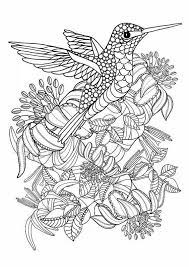 There's something for everyone from beginners to the advanced. Coloring Rocks Bird Coloring Pages Mandala Coloring Pages Coloring Pages
