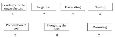 Ncert Class Viii Science Chapter 1 Crop Production And