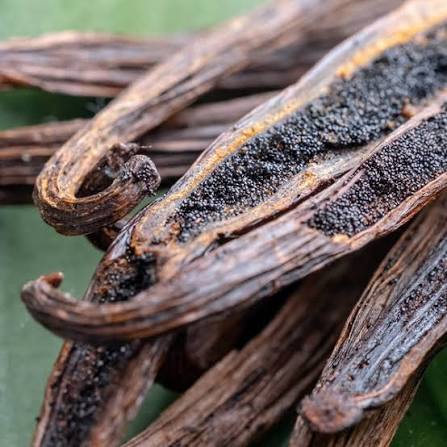 Vanilla Beans