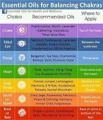 pin on young living oils