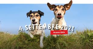 Cartelle esattoriali, scade la tregua: Giornata Del Cane 4 Settembre 2021 La Giornata Del Cane
